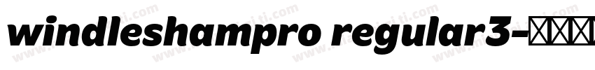 windleshampro regular3字体转换